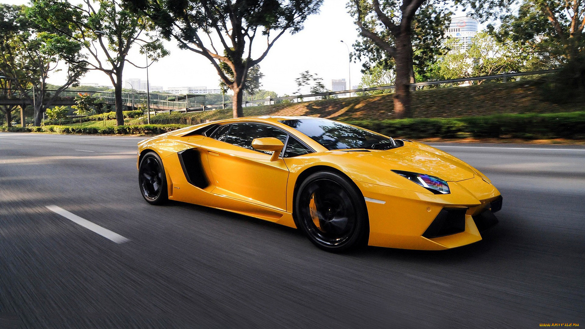 lamborghini, aventador, , , , automobili, holding, s, p, a, -